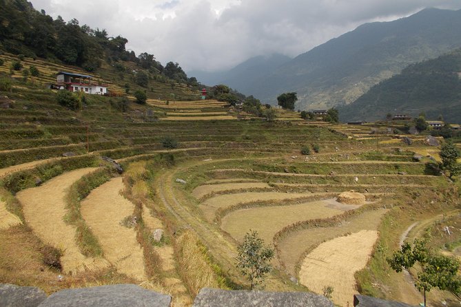 Experiential Career Break trip to Nepal for Gap year and Sabbatical travelers - Day 2: Boudha prayer wheels and Bajrayogini’s local story