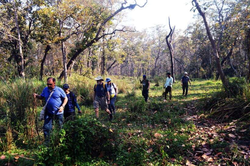 From Kathmandu/Pokhara: 2, 3, or 4-Day Chitwan Jungle Safari - Chitwan Safari at a Glance
