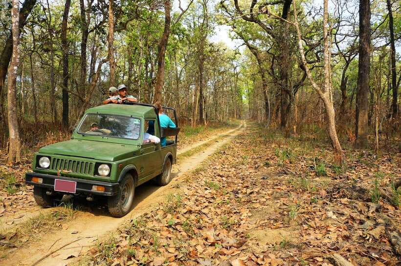 From Kathmandu/Pokhara: 2, 3, or 4-Day Chitwan Jungle Safari - Jeep Safari: Your Main Wildlife Outing