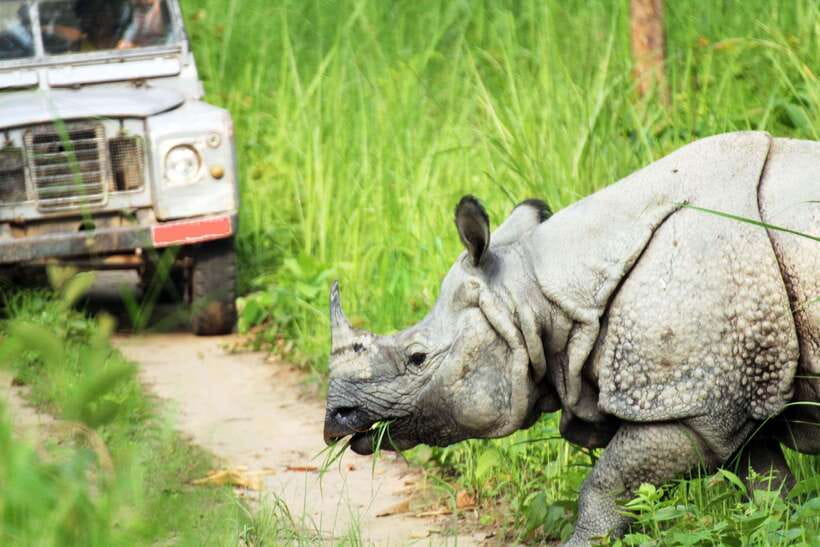 From Kathmandu/Pokhara: 2, 3, or 4-Day Chitwan Jungle Safari - Canoe, Jungle Walk, and Conservation Stops