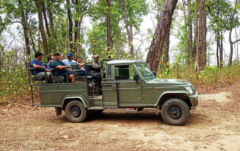 From Kathmandu/Pokhara: 2, 3, or 4-Day Chitwan Jungle Safari - Food, Rooms, and What the Price Covers