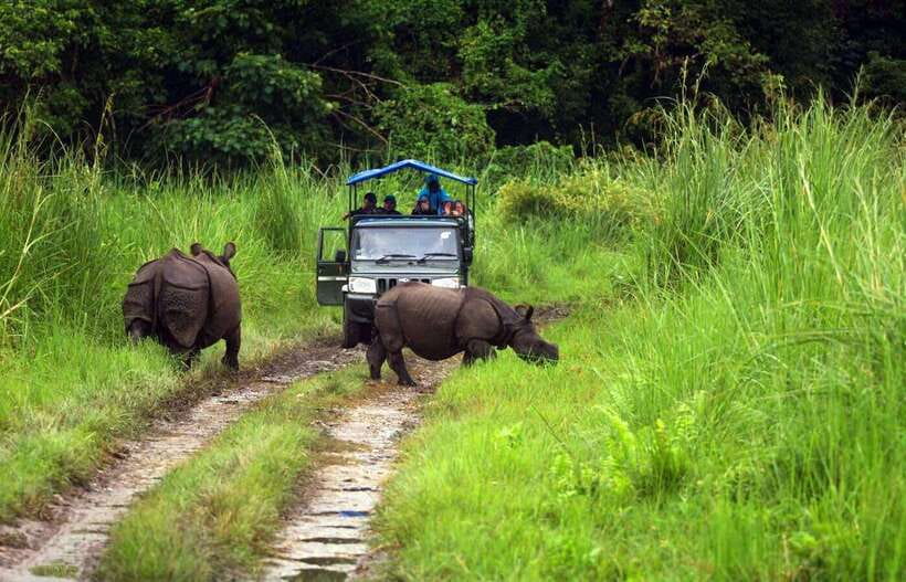 From Kathmandu/Pokhara: 2, 3, or 4-Day Chitwan Jungle Safari - What Kind of Visitor Will Enjoy This Most?