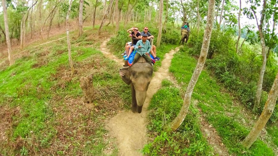 From Kathmandu/Pokhara: 3-Day All-Inclusive Chitwan Safari - Key points before you book