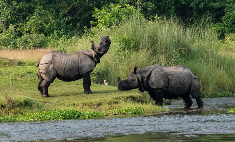 From Kathmandu/Pokhara: 3-Day Chitwan National Park Tour - Reaching Chitwan from Kathmandu or Pokhara
