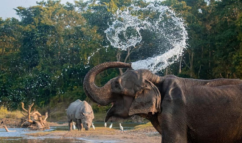 From Kathmandu/Pokhara: 3-Day Chitwan National Park Tour - Should you book the Chitwan tour?