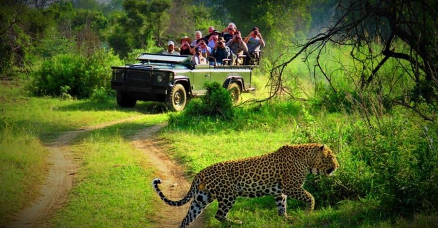 From Kathmandu/Pokhara: Private 3-Day Chitwan Safari Tour - Day 2: Jeep tracks, rhinos, and the Rapti River
