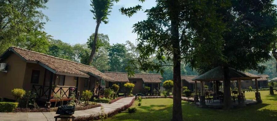 From Kathmandu/Pokhara: Private 3-Day Chitwan Safari Tour - Day 3: A guided walk through the jungle