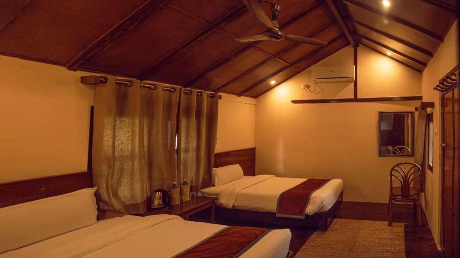 From Kathmandu/Pokhara: Private 3-Day Chitwan Safari Tour - Is $168 per person good value?