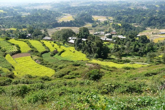 Full Day Bhaktapur Changunarayan And Nagarkot Tour in Nepal - Who will enjoy this day most?