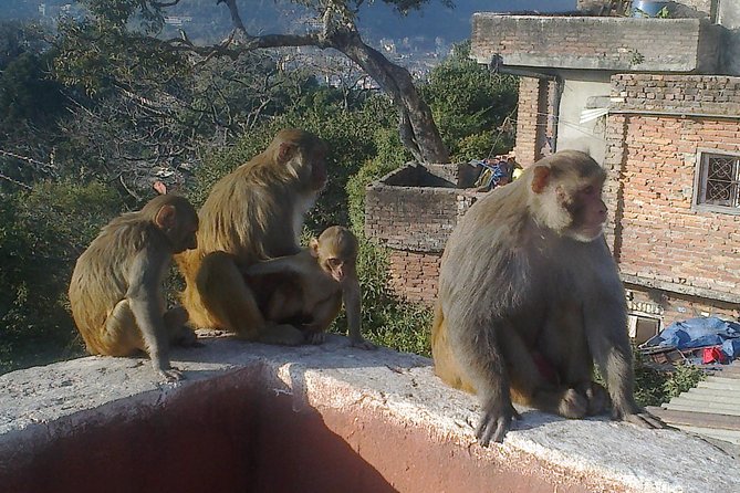 Full Day Kathmandu City Sightseeing Tour of UNESCO Heritage Sites - Transport, timing, and group size