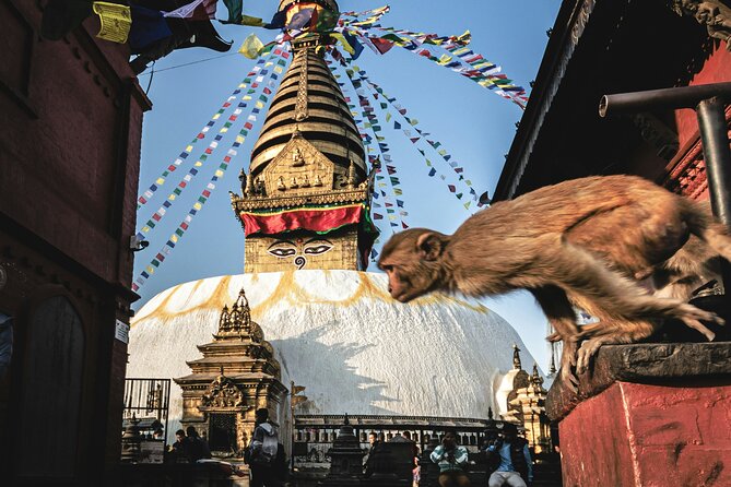 Full Day Private Tour of Kathmandu - UNESCO World Heritage Sites - Boudhanath and the great white dome