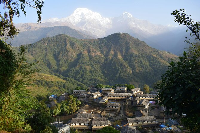 Ghorepani Ghandruk Wellness Yoga Trek - Kathmandu begins with temples, stupas, and preparation