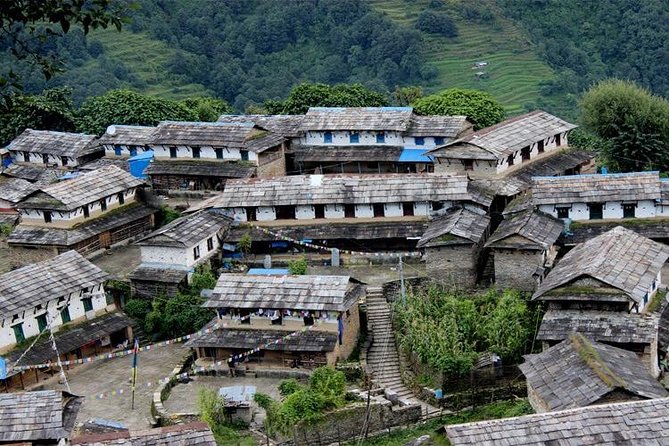 Ghorepani Poon Hill Trek - Guides, organization, and the human side