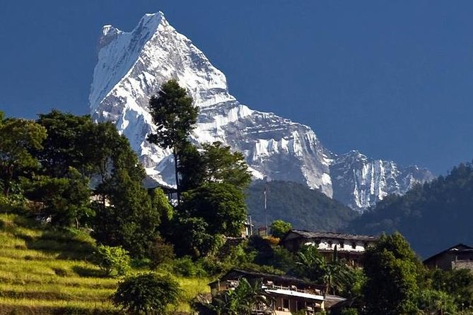 Ghorepani Poonhill Trek -8 Days - Day 6: Descending through forest to Ghandruk