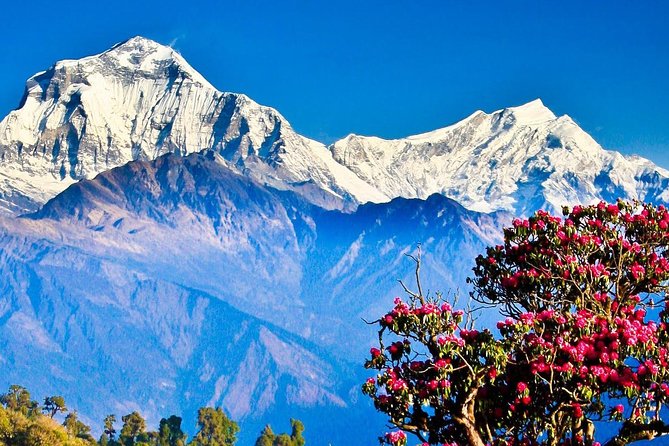 Ghorepani Poonhill Trek -8 Days - Day 7: Returning by road to Kathmandu