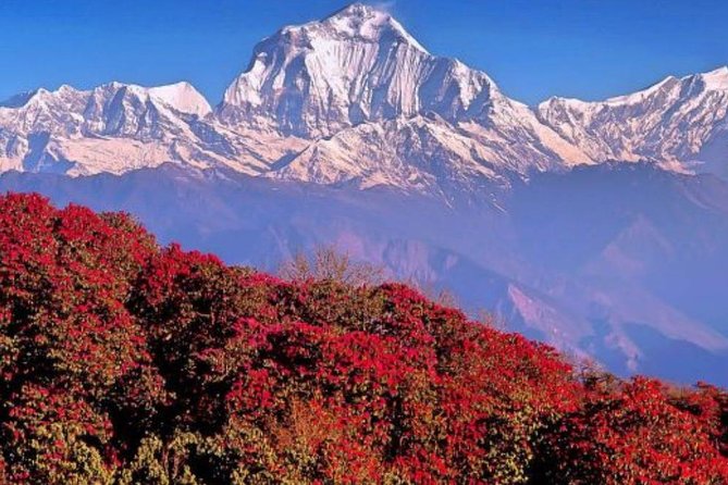 Ghorepani Poonhill Trek -8 Days - Day 1: Arriving at Tribhuvan International Airport
