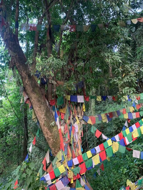 Healing Day tour - Shaman Healing - Who Will Get the Most From This Day