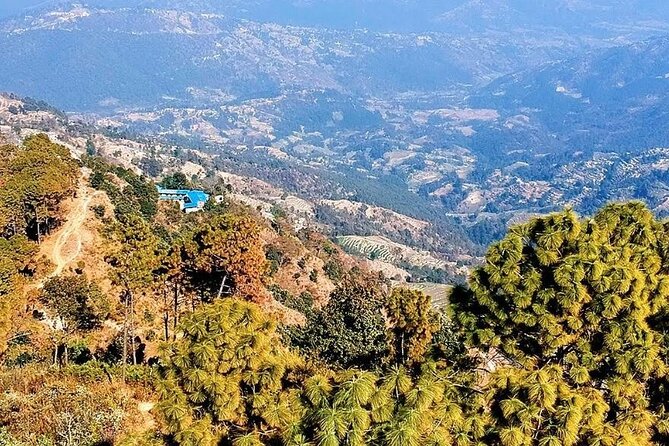 Kathmandu: 1 Day Hiking to Nagarjun Hill - A second forest look before the descent