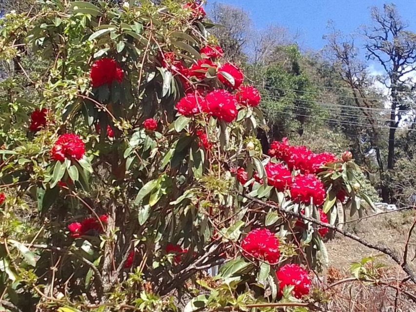 Kathmandu: 10-Day Adventurous Annapurna Circuit Trek - Day 1: Kathmandu to Dharapani by road