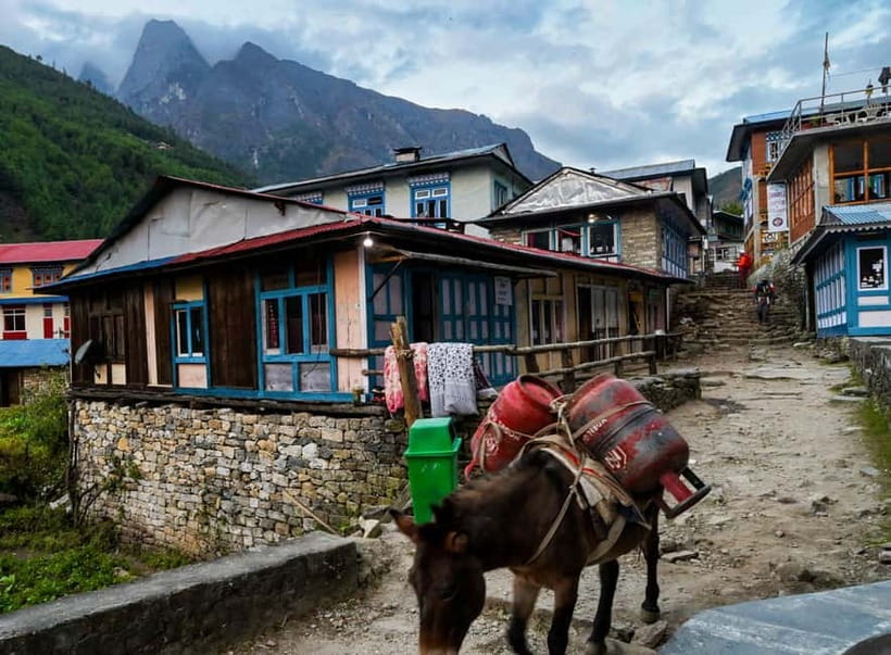 Kathmandu: 15-Day Everest Base Camp Trek with Guide - Day 1: A soft landing in Kathmandu