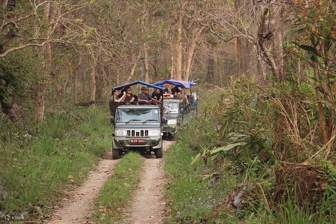 Kathmandu 2 Nights 3 Days Chitwan Jungle Safari Tour - Group size, pace, and comfort