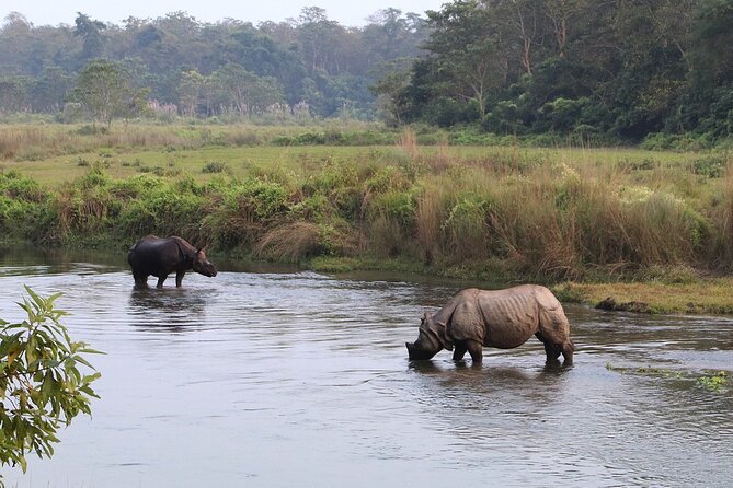 Kathmandu 2 Nights 3 Days Chitwan Jungle Safari Tour - A jeep safari in Chitwan National Park