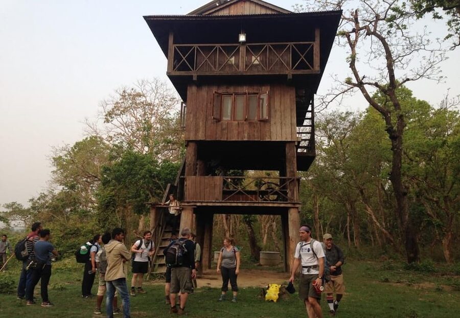 Kathmandu: 4-Day Private Chitwan National Park Safari Tour - Practical tips for getting more from Chitwan