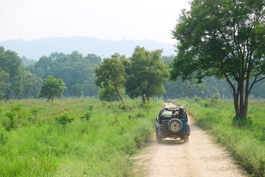 Kathmandu: 4-Day Private Chitwan National Park Safari Tour - Day three: choose a slower walk or a bicycle ride