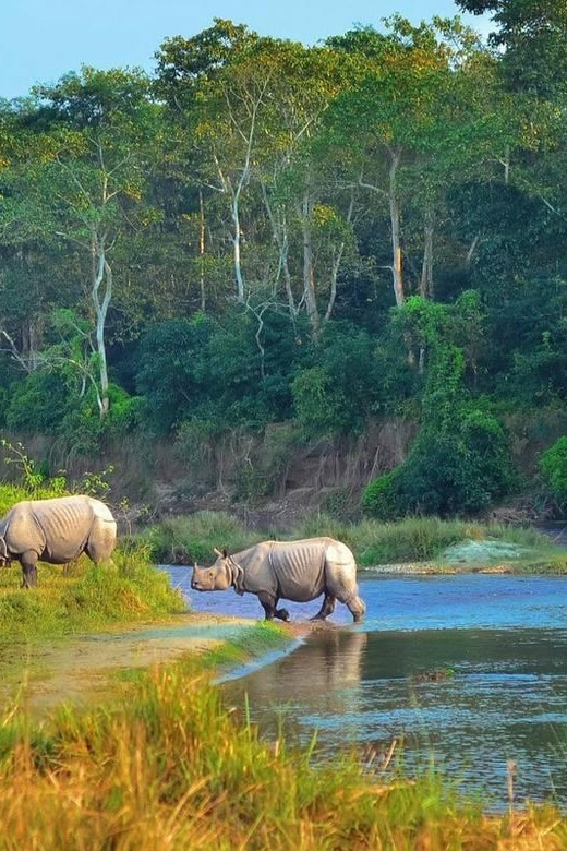 Kathmandu: 4-Day Private Chitwan National Park Safari Tour - What the $202 price really covers