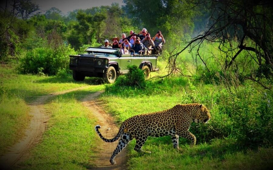 Kathmandu: 4-Day Private Chitwan National Park Safari Tour - Who will enjoy this private safari most