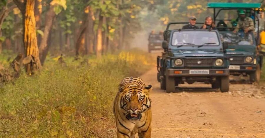 Kathmandu: 4-Day Private Chitwan National Park Safari Tour - Day one: the bus from Kathmandu and a Tharu welcome