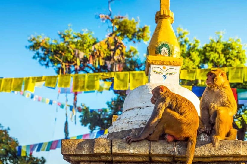 Kathmandu 4-Heritage Sites Tour - Who should book this Kathmandu tour?