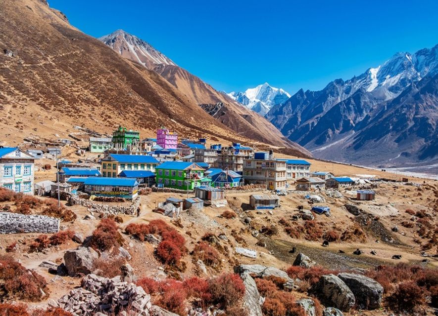 Kathmandu: 6-Day Limitless Langtang Trek - Day 3: Ghoda Tabela to Kyanjin Gompa at 3,870 meters