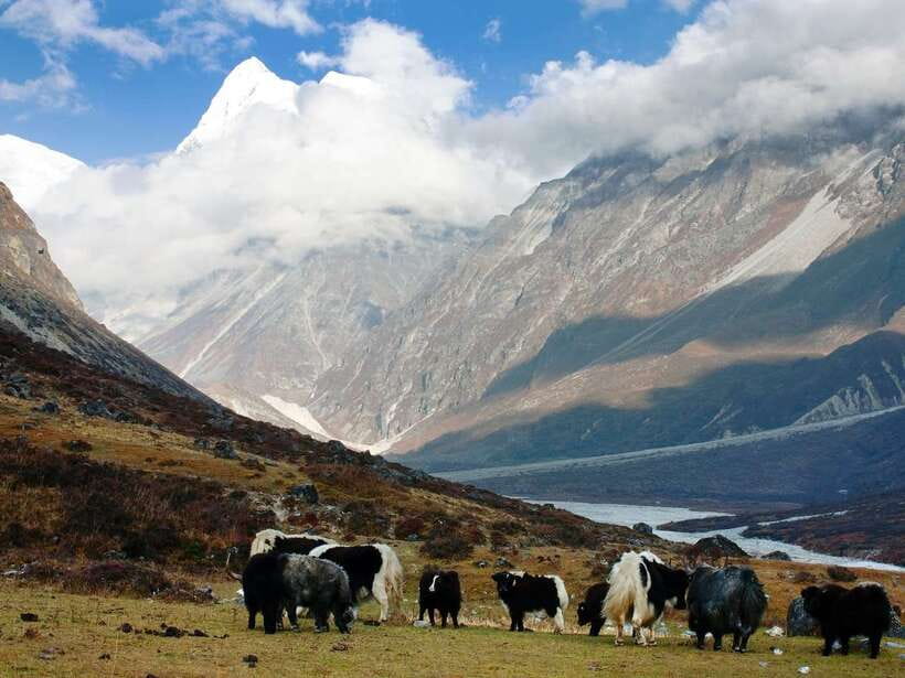 Kathmandu: 6 Days Langtang Valley Trek with Kyanjin Ri - Day 5: Returning through the valley to Syabrubesi