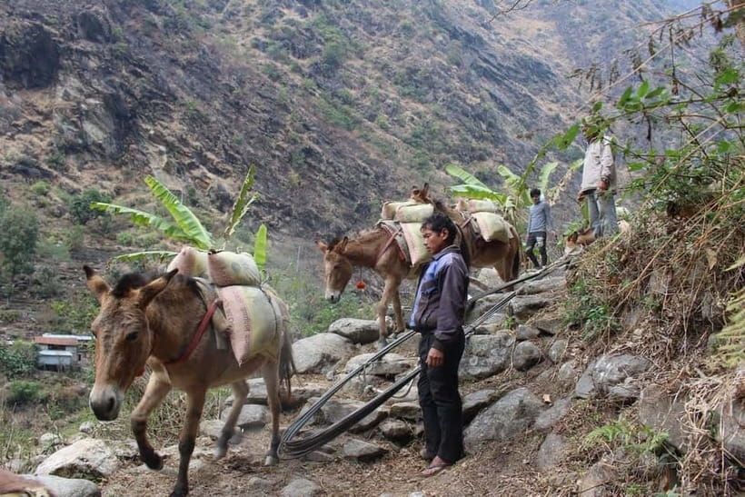 Kathmandu: 9-Day Annapurna Circuit Trek via Thorong La Pass - Day 3: Chame to Upper Pisang, 15 kilometers
