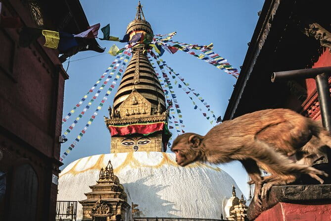 Kathmandu Bhaktapur Patan Authentic Local Tour +7 UNESCO WH Sites - Day two: Patan’s courtyards, fountains, and Buddhist monasteries
