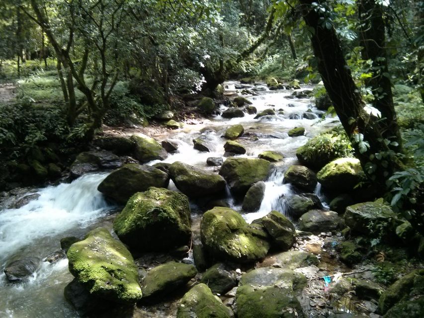 Kathmandu: Chisapani Nagarkot 3-Days 2-Nights Trek - Why this short trek works so well from Kathmandu