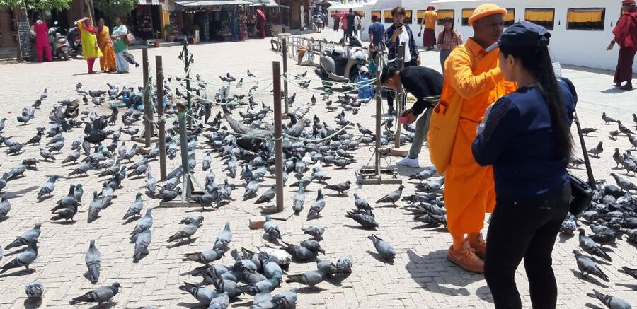 Kathmandu: Guided -Day Tour of World Heritage Sites - Small details that will improve your day