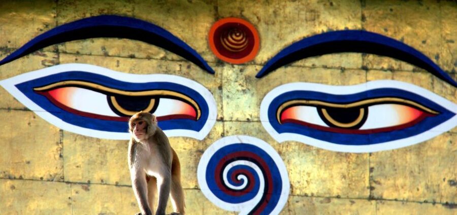 Kathmandu: Monkey Temple and Chandragiri Cable Car Ride Tour - Returning to Kathmandu and reaching Swayambhunath