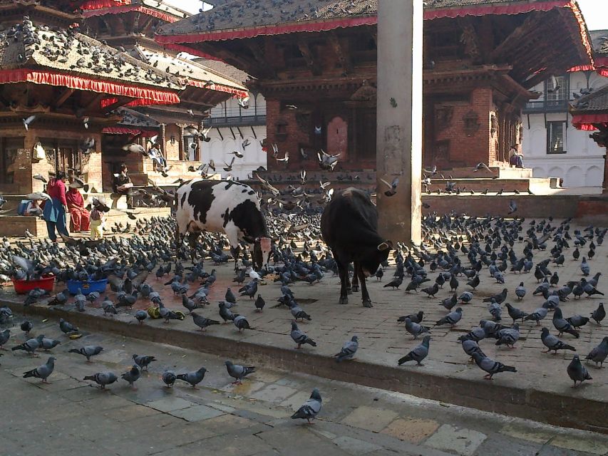 Kathmandu: Monkey Temple and Chandragiri Cable Car Ride Tour - Is $47 good value?