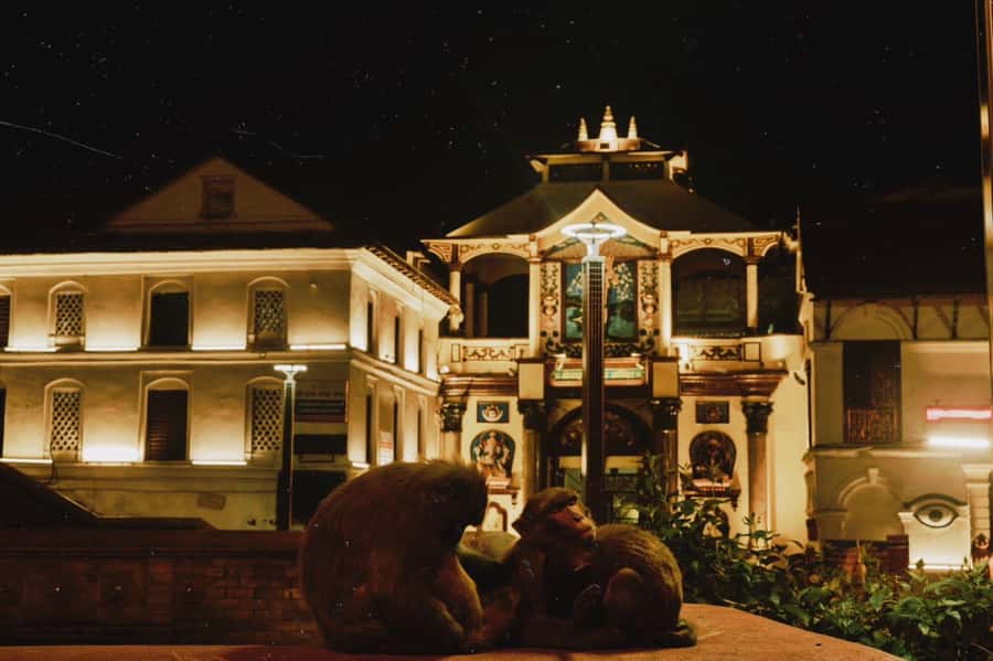 Kathmandu: Pashupatinath Aarati & Cremation Evening Tour - Who will appreciate this evening tour