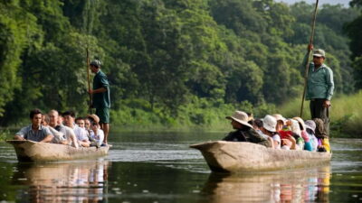 Kathmandu/Pokhara: 3 Day Chitwan Jungle Safari Tour