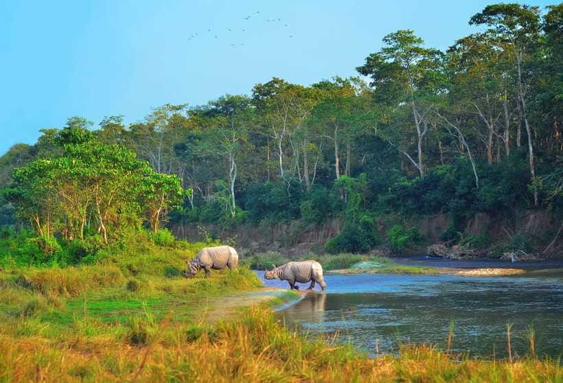 Kathmandu/Pokhara: 3 Day Chitwan Jungle Safari Tour - A few practical ways to improve the trip