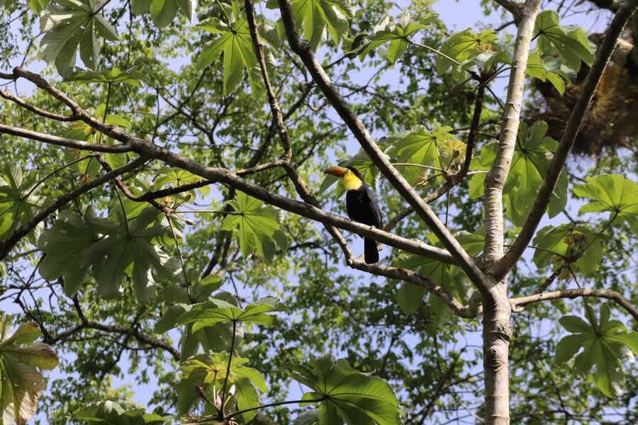 Kathmandu/Pokhara: Wildlife, Culture and Jungle Safari Tour - The Rapti River by canoe