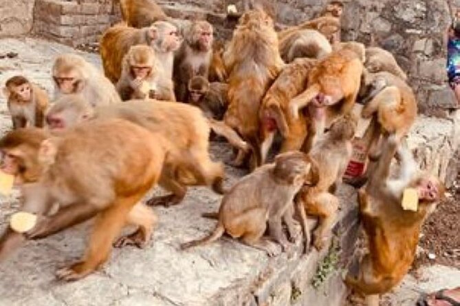 Kathmandu Private Sightseeing Tour | UNESCO World Heritage Sites - Patan Durbar Square in Lalitpur