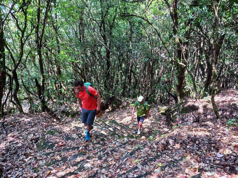 Kathmandu: Shivapuri Day Hike with Lunch - Lunch on the trail