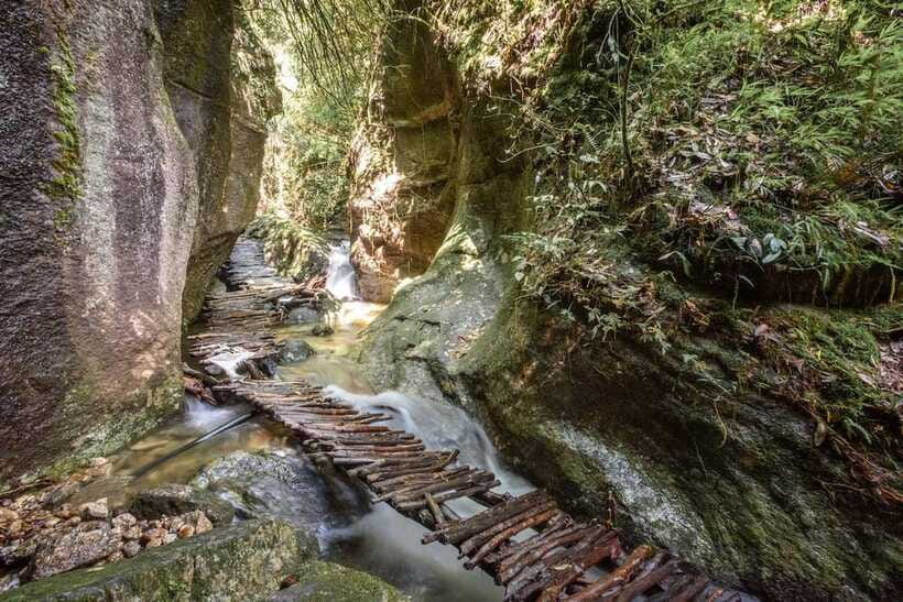 Kathmandu: Shivapuri Hill Day Hike with Lunch box - Guides, pace, and the human side of the day