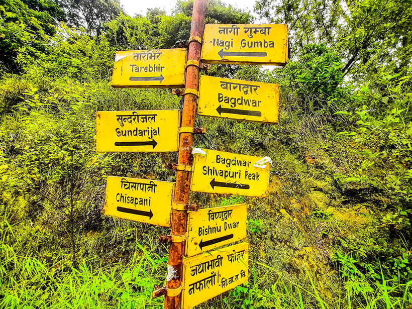 Kathmandu: Shivapuri Hill Day Hike with Lunch box - Who should book this Shivapuri hike?