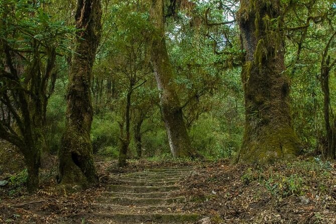 Kathmandu Shivapuri National Park and Nagarkot Hiking - 3 Days - Why this route works so well from Kathmandu