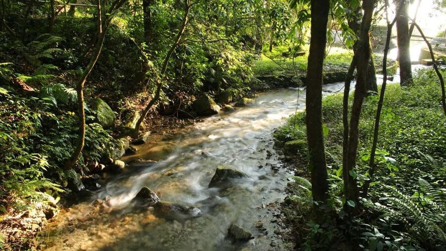 Kathmandu: Shivapuri National Park Hiking Day Trip - Sundarijal to Chisapani for a longer village walk